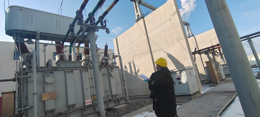 西部220kV变电站 避雷器、变压器专项检查